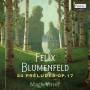 Mark Viner - Blumenfeld:24 Preludes op.17