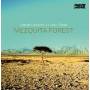 Beppe Capozza - Mezquita Forest