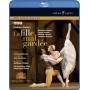 Twiner / Royal Opera House - La Fille Mal Gardee [DE-Version, Regio 2/B]