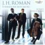 ROMAN J. H. - 12 Sonatas For Flute And B.C