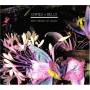 Chimes & Bells - Into Pieces Of Wood