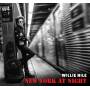 Willie Nile - New York At Night