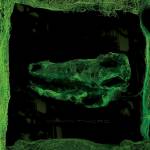 Avey Tare - Down There (LP+MP3)