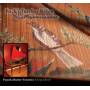 Pamela Ruiter-Feenstra - Bach's Teacher Bhm/Improvisations
