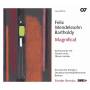 Bernius / Brown / Groop / Gra / Volle / Kammerchor - Kirchenwerke Vol.8