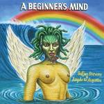 Sufjan Stevens & Angelo De Augustine - A Beginner's Mind (Green Vinyl)