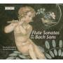 B. Kuijken / E. Demeyere - Flute Sonatas by the Bach-Sons