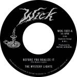 The Mystery Lights - Before You Realise It / Cerebral Crack