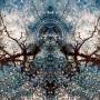 Astralasia - A Coloured In Dream