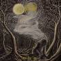 Woods Of Desolation - As The Stars (Black Vinyl) (Reissue)