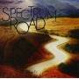 Spectrum Road - Spectrum Road