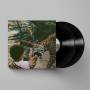 Unknown Mortal Orchestra - V