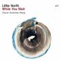 Little North - While You Wait (180g Black Vinyl)