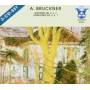 Heinrich Hollreiser / BAMS / + - Sinfonien 4,6,7 (bruckner,anton)