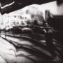 The Amazing - In Transit (ltd.2lp)