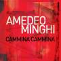 Minghi Amedeo - 40 Di Me Con Voi