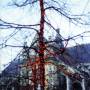 Adrian Crowley - When You Are Here You Are Family