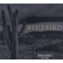 Bluebird - Saguaro 1995-2003