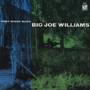 Big Joe Williams - PINEY WOODS BLUES