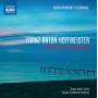 Bruno Meier / Prager KO - Fltenkonzerte