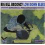 Big Broonzy Bill - Low Down Blues