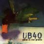 UB40 - Guns In The Ghetto