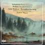 Weithaas; Hornung; NDR Philharmonie; Manze - Violinkonzert; Doppelkonzert op.102