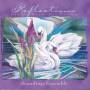 Soundings Ensemble - Reflections-Gentle Music For L