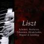 Ignacy Paderewski Jan - Paderewski Plays Liszt/+