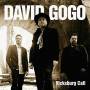 david Gogo - Vicksburg Call