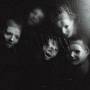 Ditz - The Great Regression (LP)