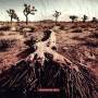 The Prayer Tree - The Prayer Tree