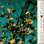 Versus - Dead Leaves
