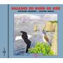Sounds Of Nature - Coastal Walk