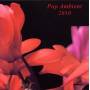 Various - Pop Ambient 2010
