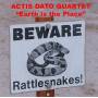 Actis Dato Quartet - Earth Is The Place