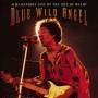 jimi Hendrix - Blue Wild Angel: Jimi Hendrix Live at the Isle of