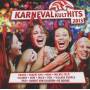 Various - Karneval Kult Hits 2013