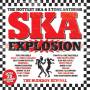 V / a - Ska Explosion