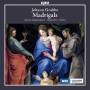 Sette Voci / Peter Kooij - Madrigals