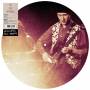 Jah Wobble - Access All Areas