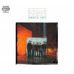 David Miilmann Group - What's Left