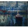 Luka Bloom - Head & Heart