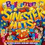 Various - Ballermann Silvesterhits 2024