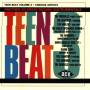 V / A - TEEN BEAT,VOL.3 INTRUMENTALS