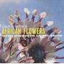 Geof Bradfield - African Flowers
