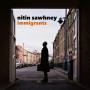 Nitin Sawhney - Immigrants