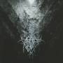 Asofy - Percezione
