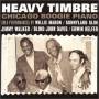 V / A - Heavy Timbre