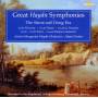 Adam Fischer / Austro-Hungarian Haydn Orchestra - Great Haydn Symponies